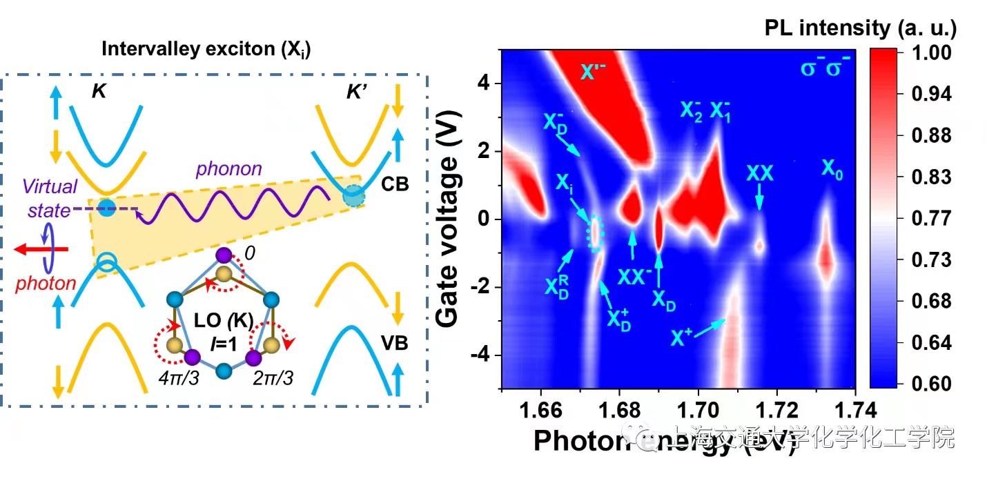 1634870558925288.jpg D.jpg