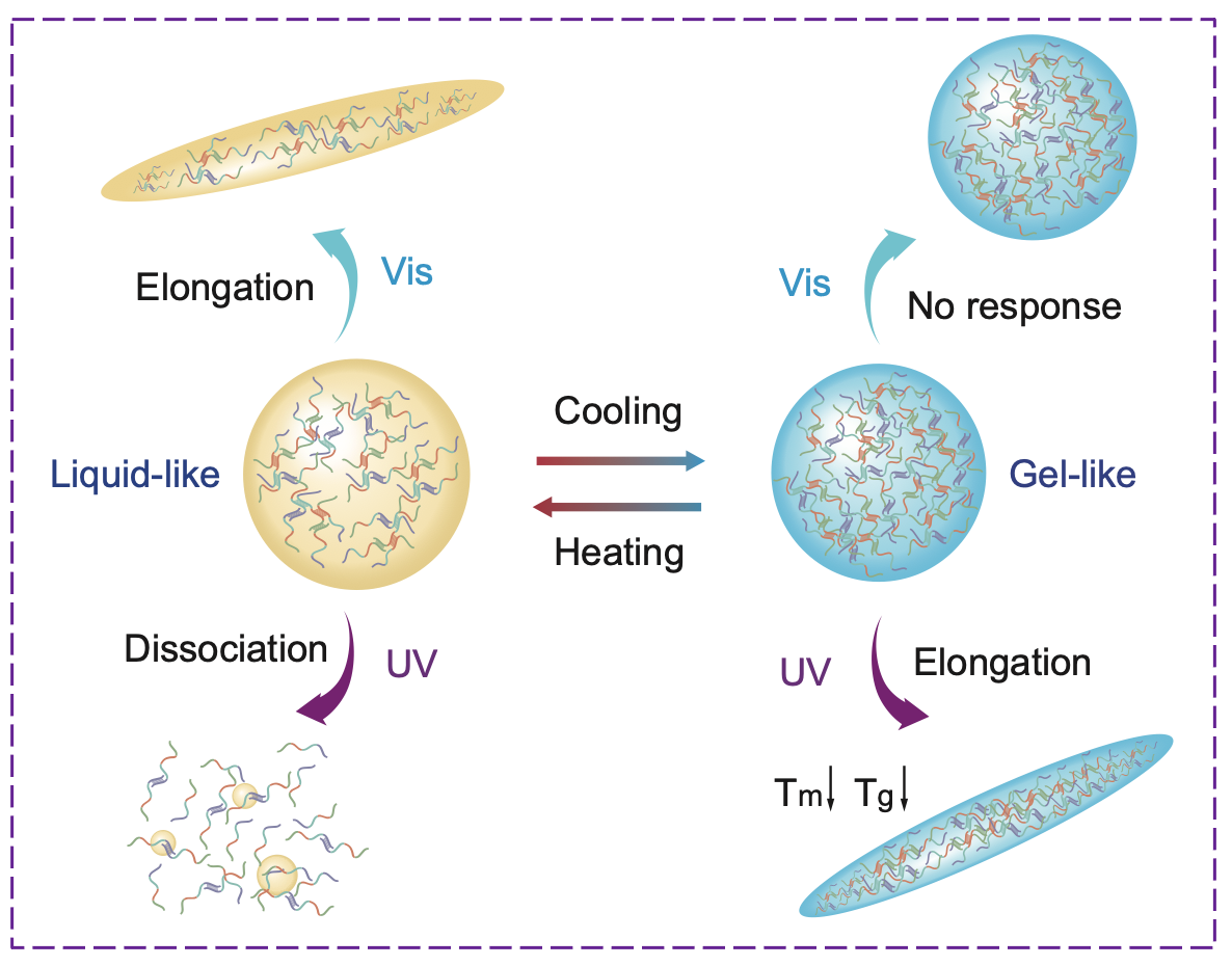 1764854472675977.png Screen Shot 2025-12-04 at 21.17.07.png