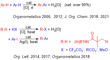 1766975588250320.png image.png