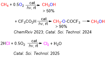 1766975824839643.png image.png